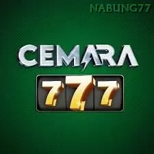Jajo177
